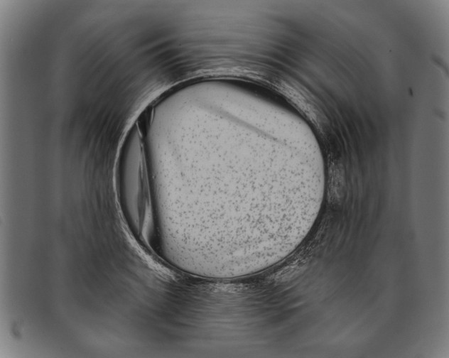 X0000097811084200804041331