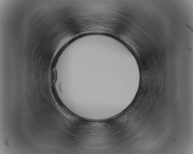 X0000097811085200804041331