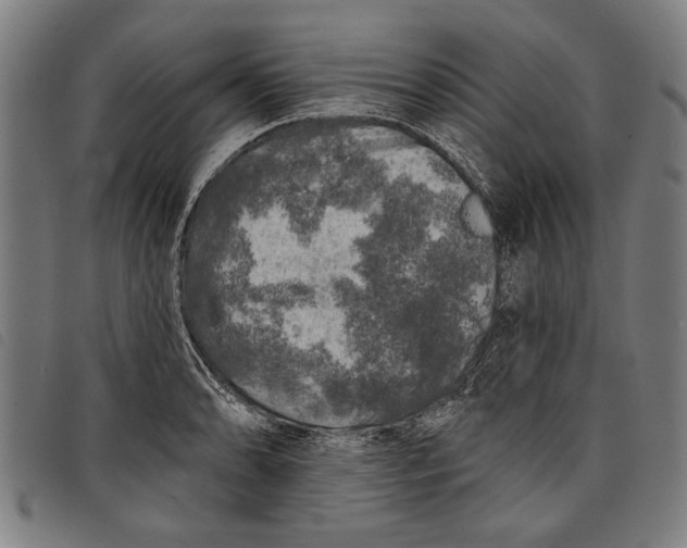 X0000097811086200804041331