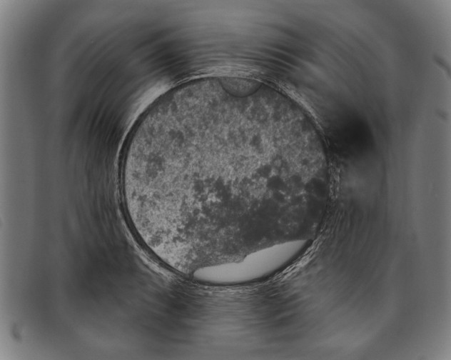 X0000097811087200804041331