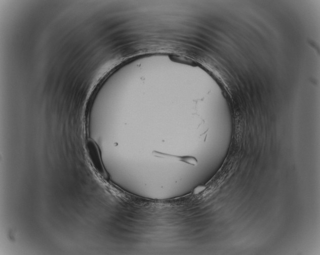 X0000097811088200804041331