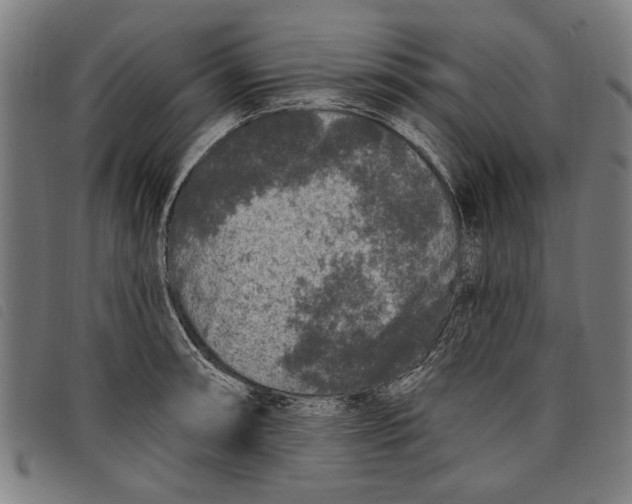 X0000097811090200804041331