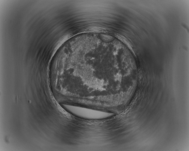 X0000097811091200804041331