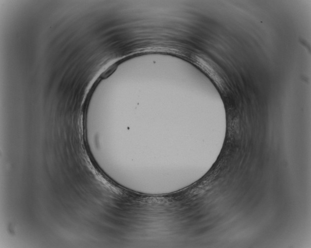 X0000097811092200804041331