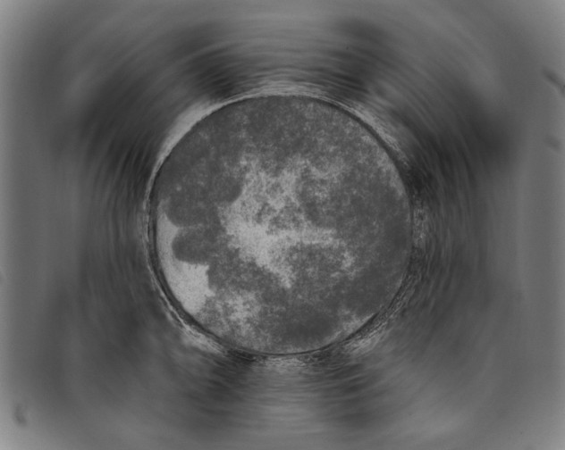 X0000097811094200804041331