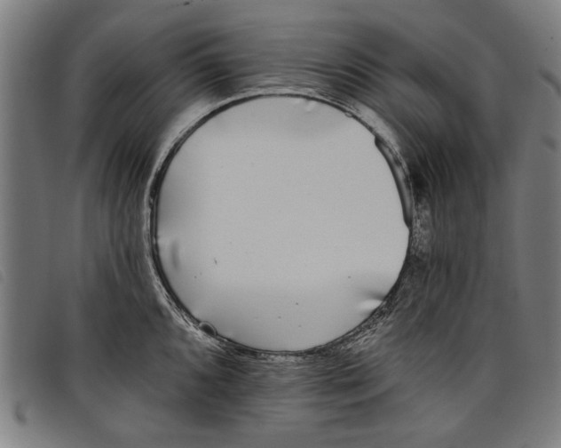 X0000097811096200804041331