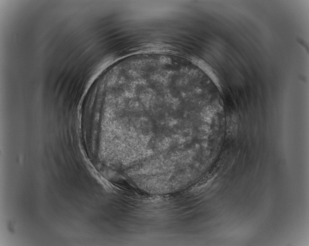 X0000097811099200804041331