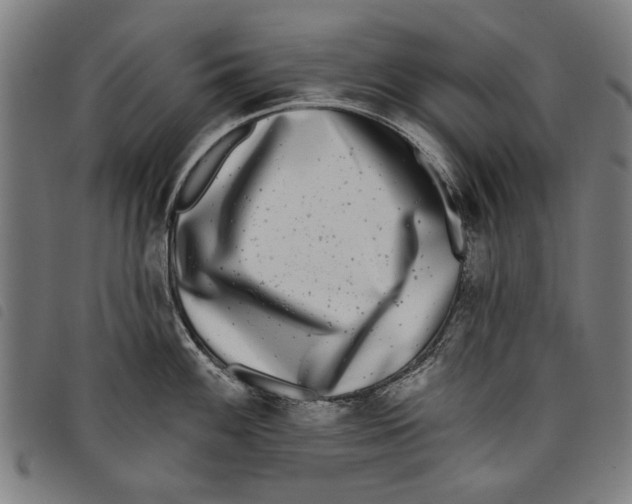 X0000097811100200804041331