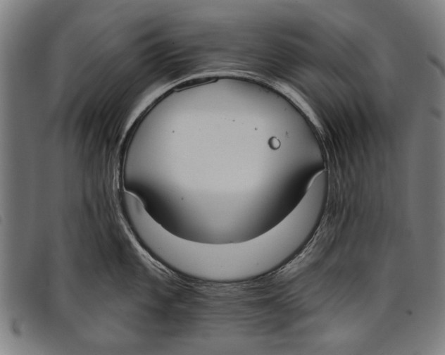 X0000097811101200804041331