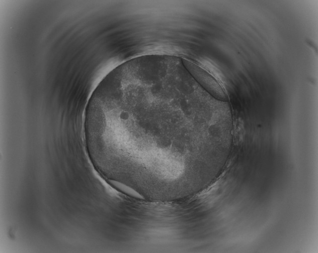 X0000097811103200804041331