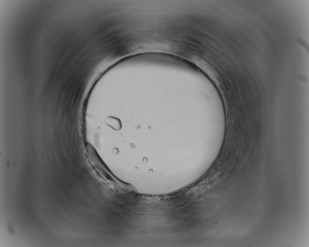 X0000097811104200804041331