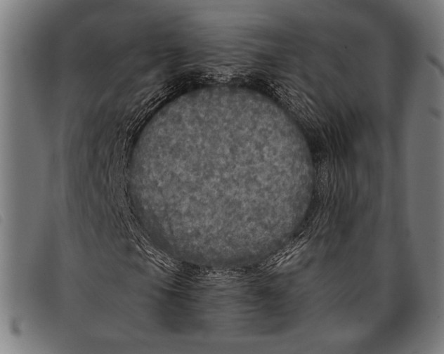 X0000097811105200804041330