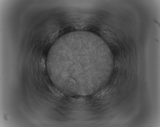 X0000097811106200804041330