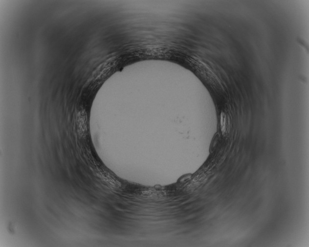 X0000097811107200804041330