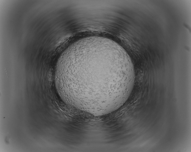 X0000097811110200804041330