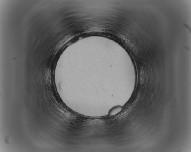 X0000097811113200804041330