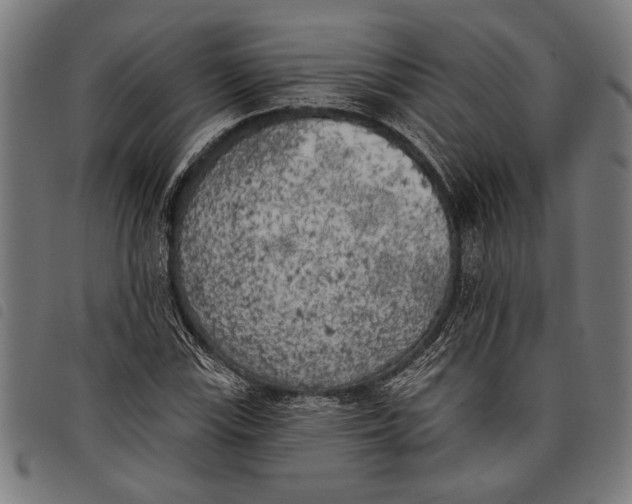 X0000097811115200804041330