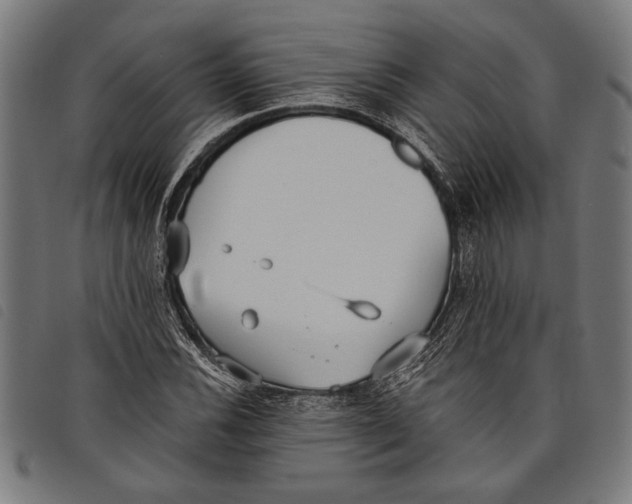 X0000097811116200804041330