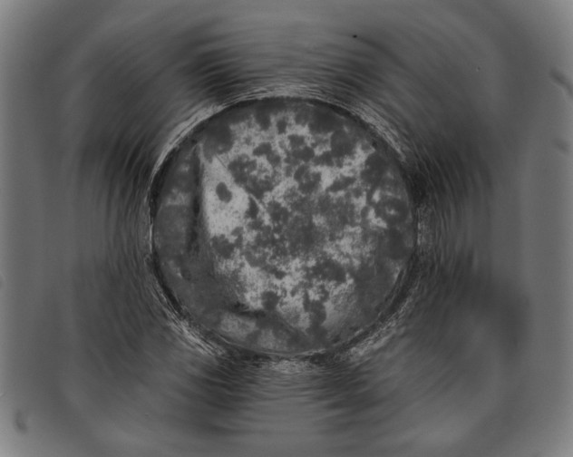 X0000097811117200804041330