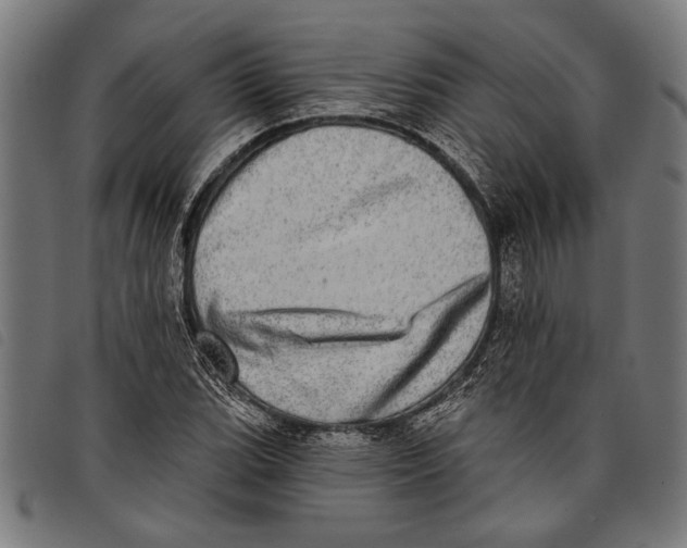 X0000097811119200804041330