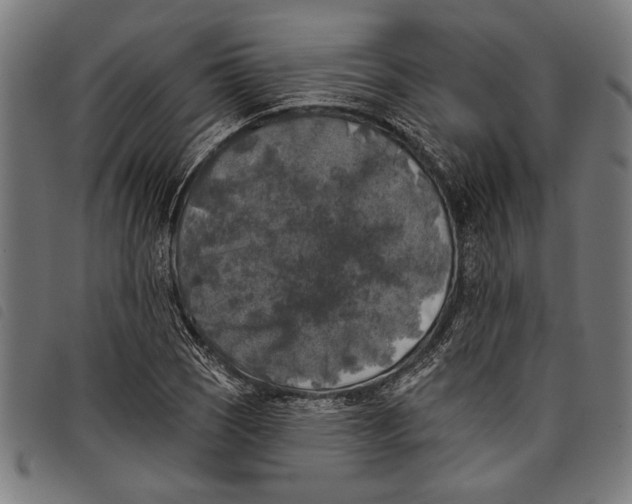 X0000097811121200804041330