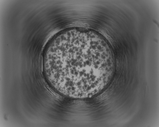 X0000097811123200804041330