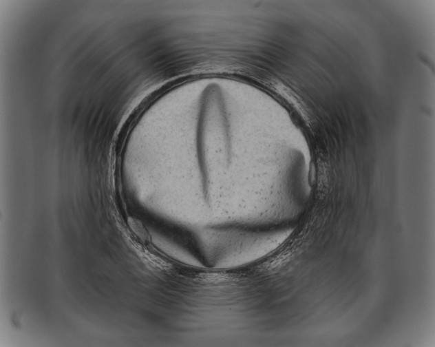 X0000097811124200804041330