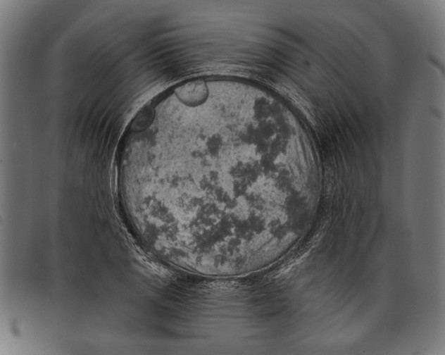 X0000097811125200804041330