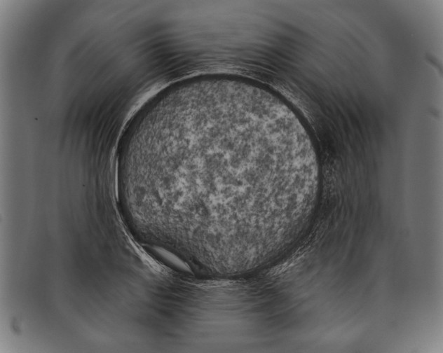 X0000097811127200804041330