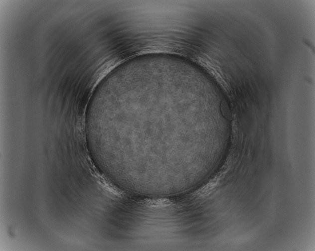 X0000097811129200804041330