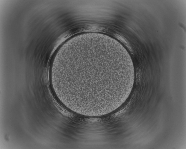 X0000097811130200804041330