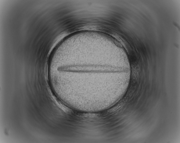 X0000097811131200804041330