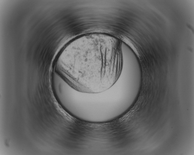 X0000097811132200804041330