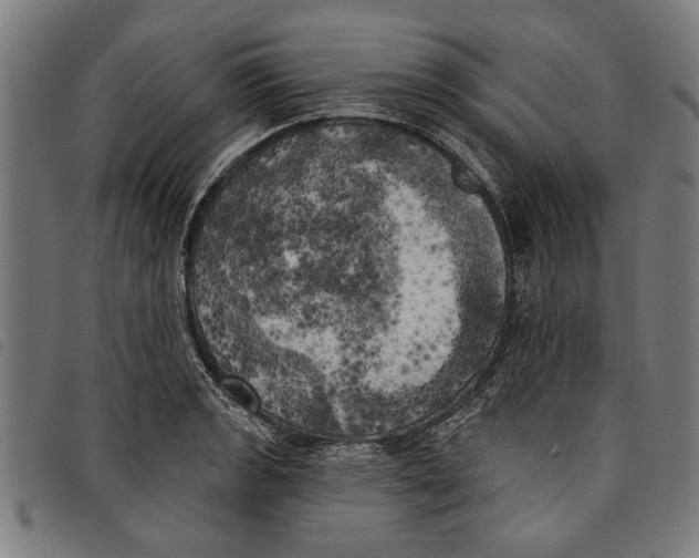 X0000097811133200804041330