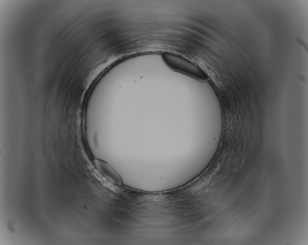 X0000097811134200804041330