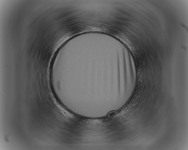 X0000097811135200804041330