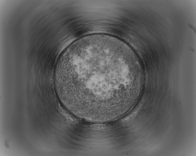 X0000097811137200804041330