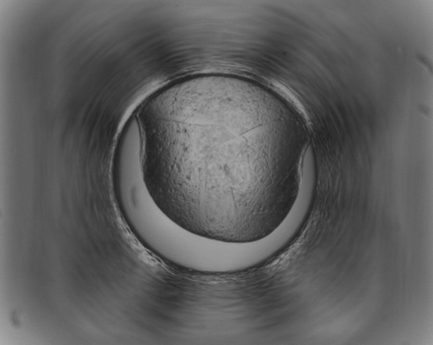 X0000097811138200804041330