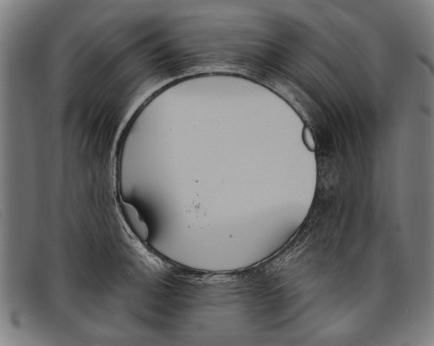 X0000097811140200804041331