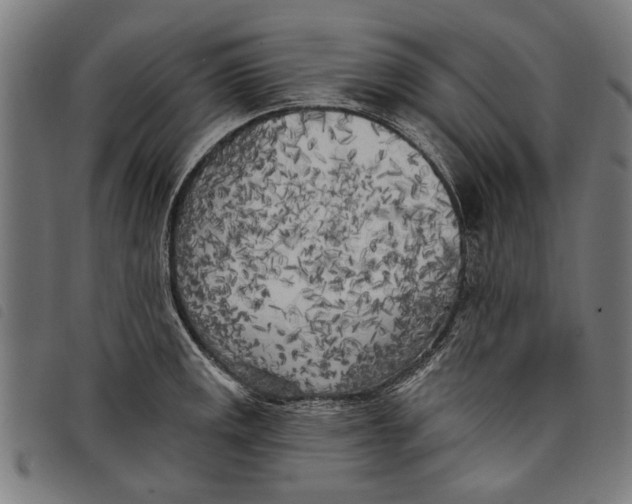 X0000097811141200804041331