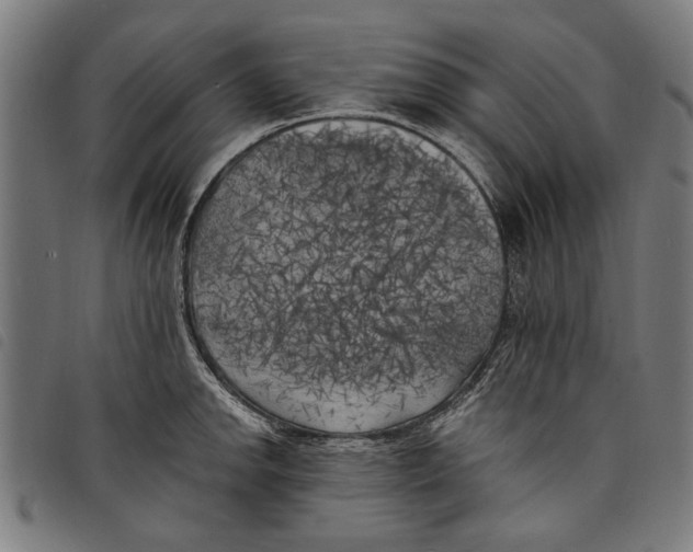 X0000097811142200804041331