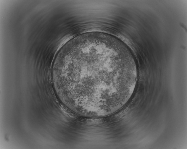 X0000097811145200804041331