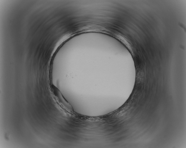 X0000097811146200804041331