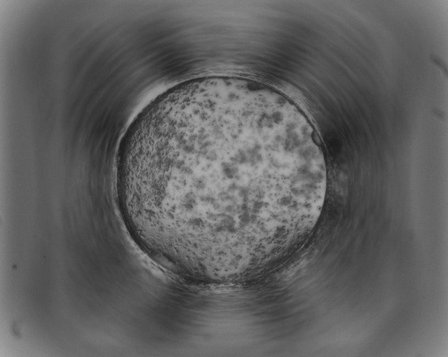 X0000097811147200804041331