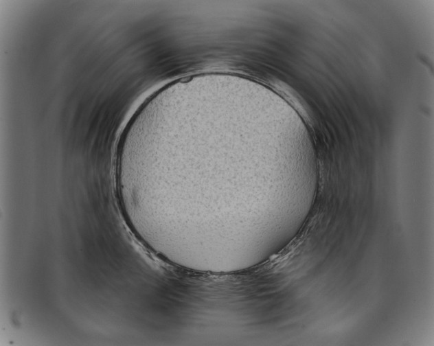 X0000097811148200804041331