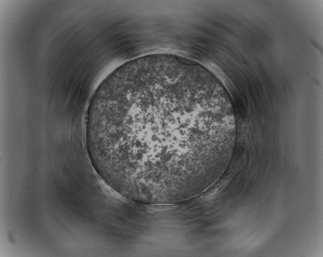 X0000097811151200804041331