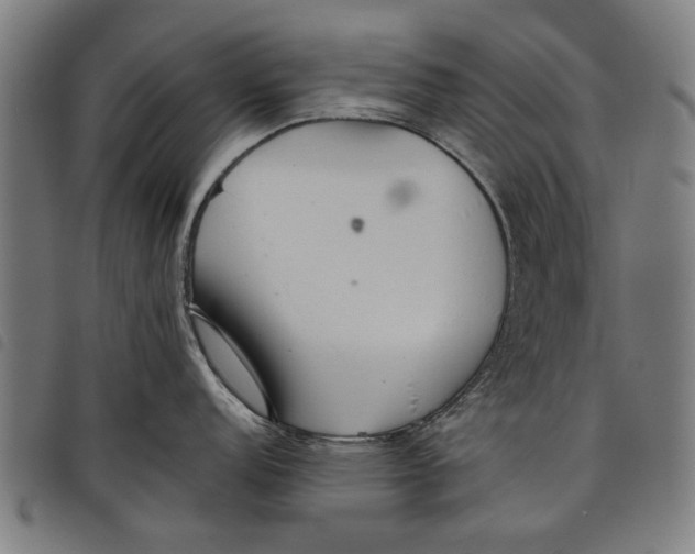 X0000097811152200804041331