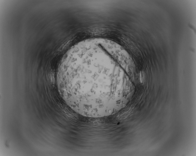 X0000097811155200804041330