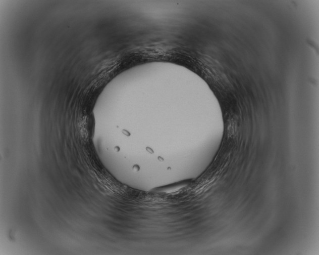 X0000097811156200804041330