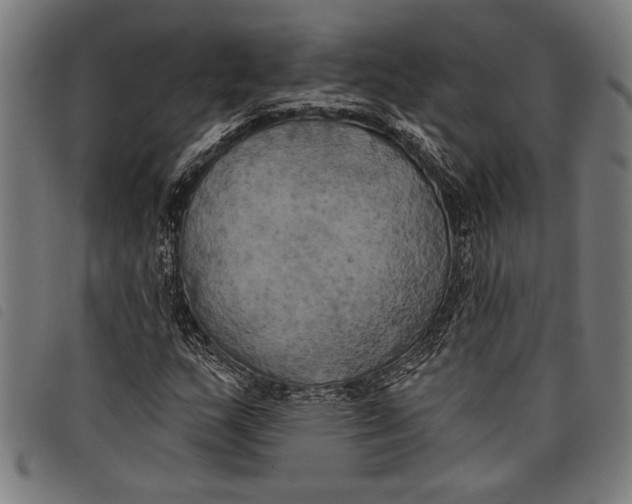 X0000097811159200804041330